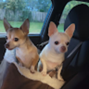 Meet your Posher, Jillian